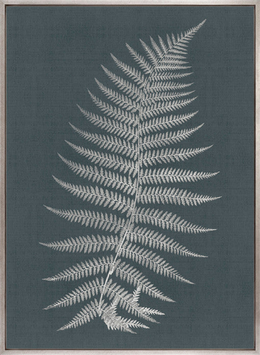 Brenford Fern I (Canvas)