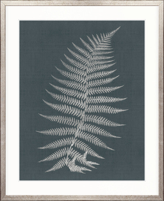 Brenford Fern I