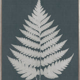 Brenford Fern II (Canvas)