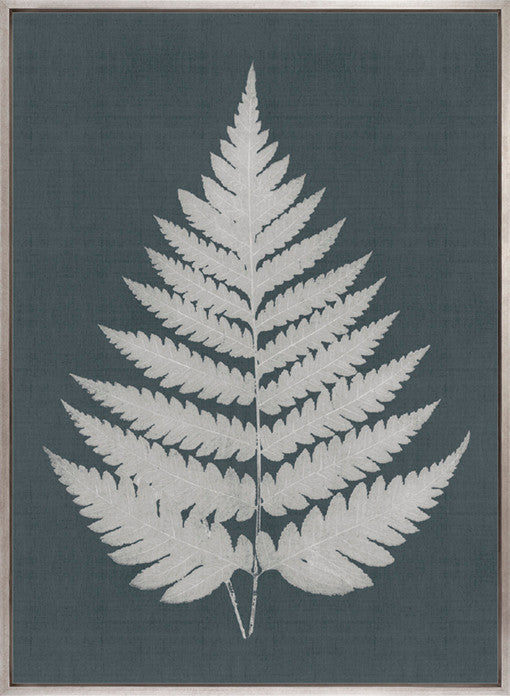 Brenford Fern II (Canvas)