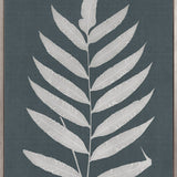 Brenford Fern III (Canvas)