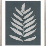 Brenford Fern III