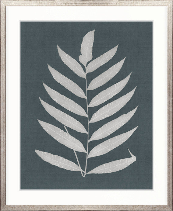 Brenford Fern III