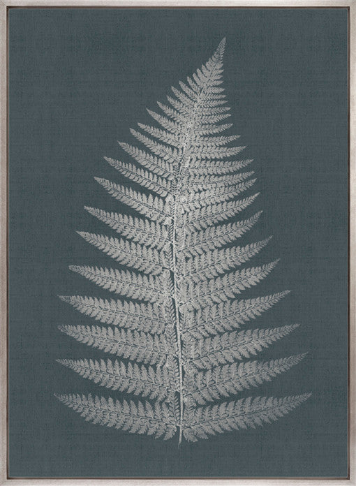 Brenford Fern IV (Canvas)