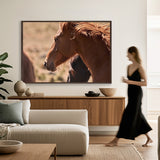 Brumbies I (Canvas) Large (1109mm W x 903mm H)