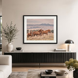 Brumbies II X-Large (1400mm W x 1000mm H) / Clear Acrylic