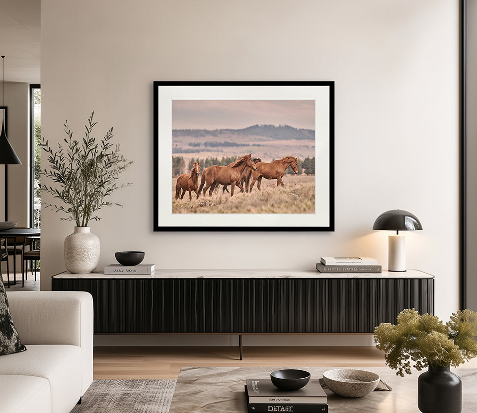 Brumbies II X-Large (1400mm W x 1000mm H) / Clear Acrylic