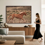 Brumbies IV (Canvas) Large (1109mm W x 903mm H)