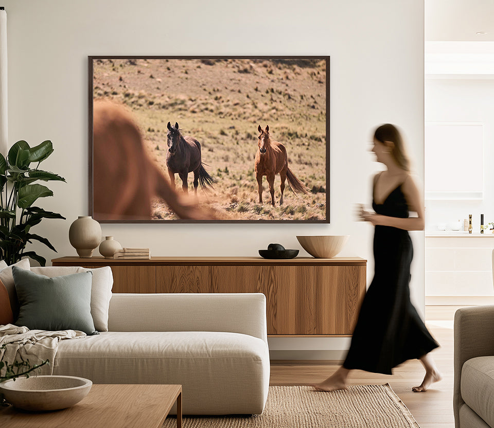 Brumbies VI (Canvas)