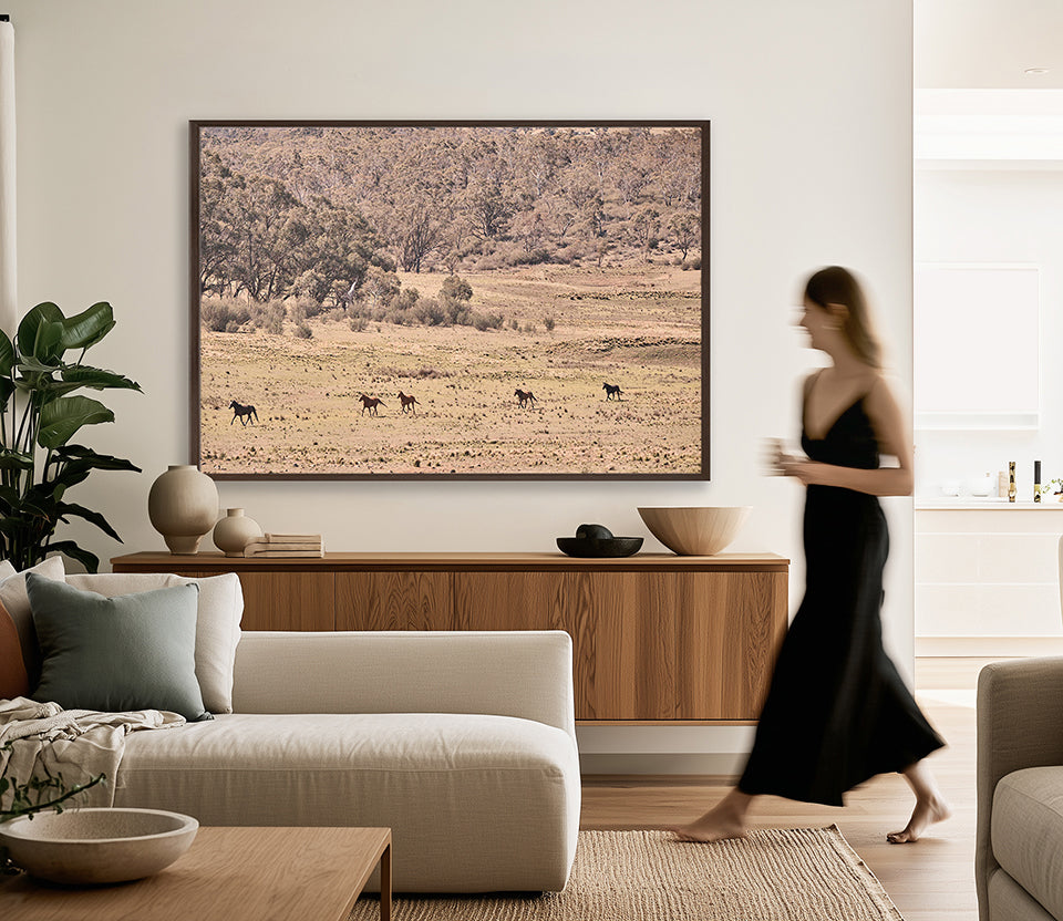 Brumbies VII (Canvas)