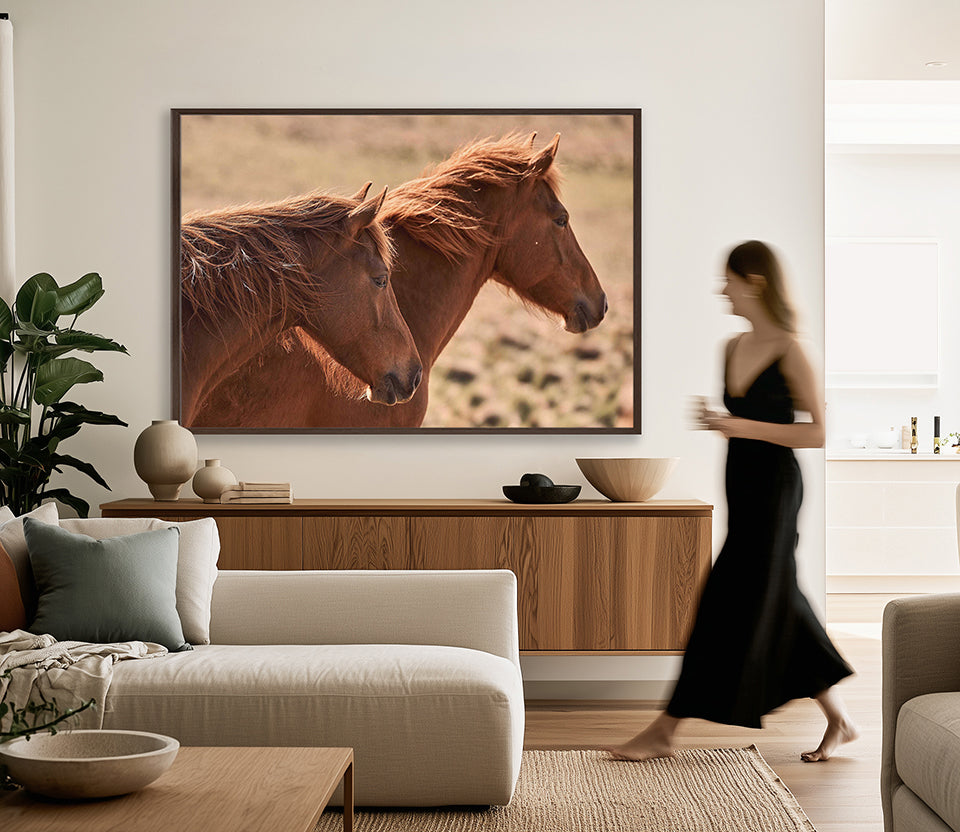 Brumbies VIII (Canvas)