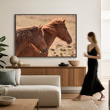 Brumbies VIII (Canvas) Large (1109mm W x 903mm H)