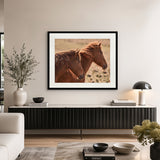 Brumbies VIII X-Large (1400mm W x 1000mm H) / Clear Acrylic