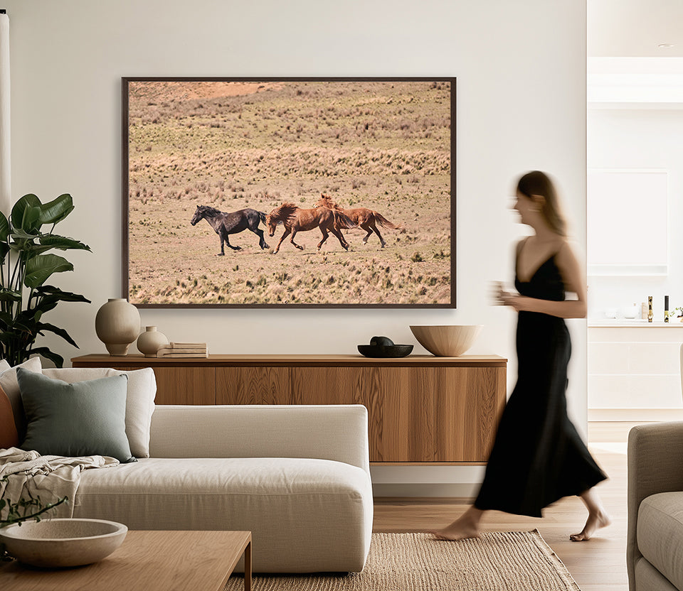 Brumbies IX (Canvas)
