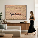 Brumbies IX (Canvas) Large (1109mm W x 903mm H)