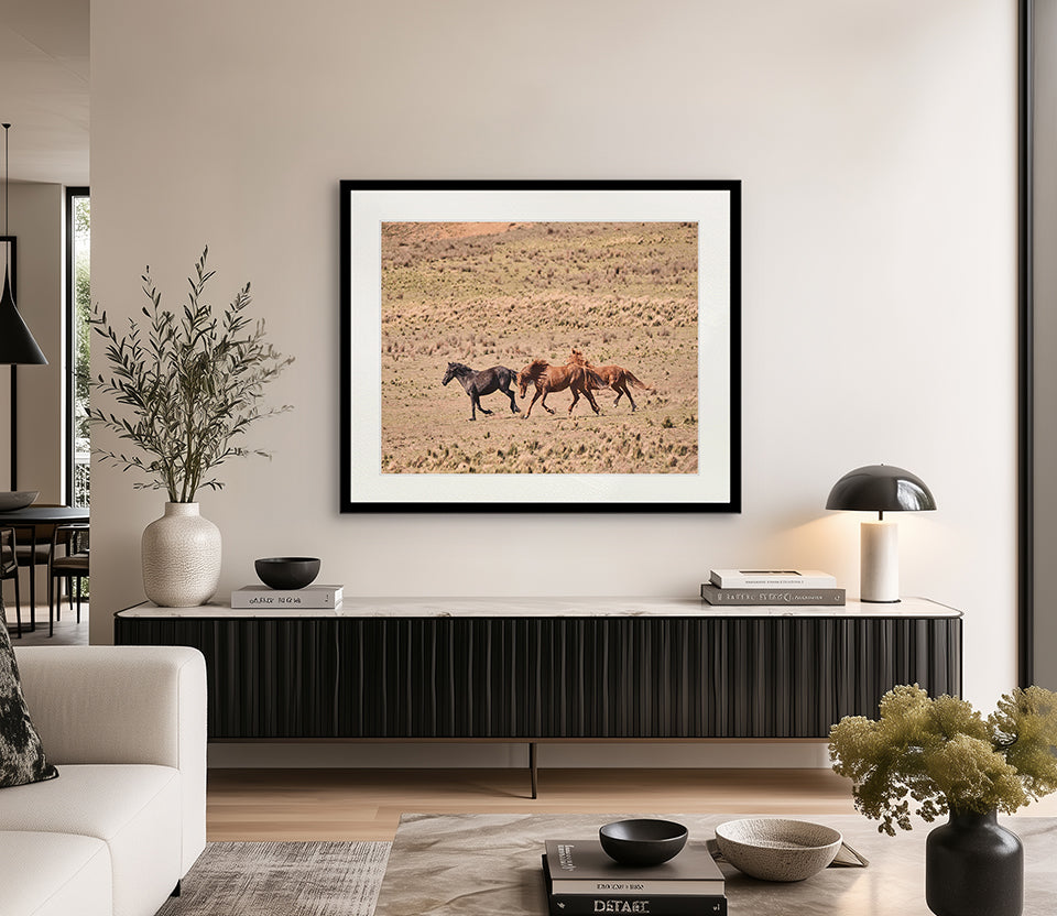 Brumbies IX