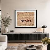 Brumbies IX X-Large (1400mm W x 1000mm H) / Clear Acrylic