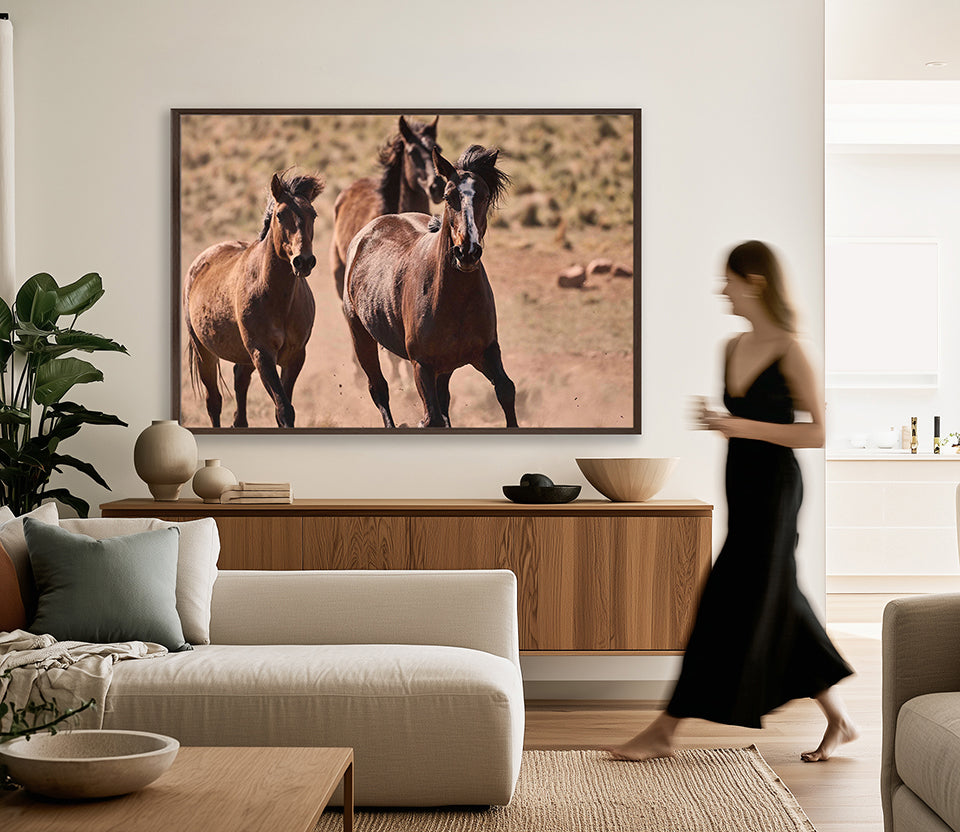 Brumbies X (Canvas)