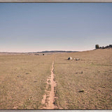 Brumbies XI (Canvas) Large (1109mm W x 903mm H)