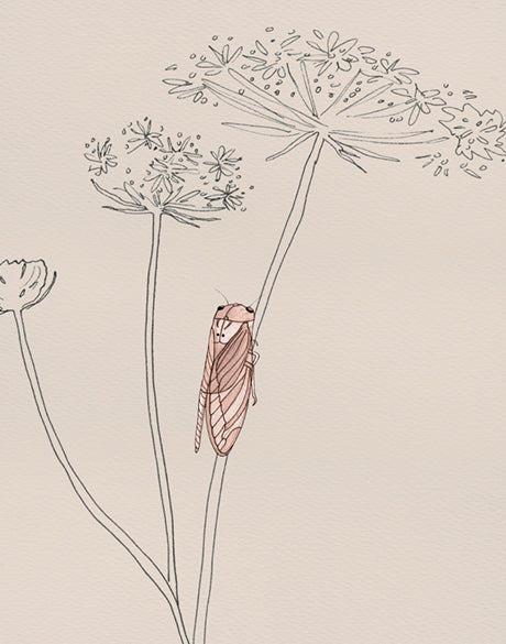 Bug Life IV (Canvas)