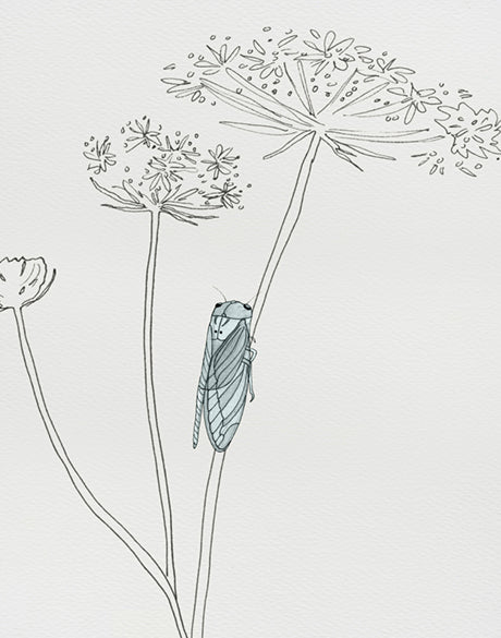 Bug Life VIII (Canvas)