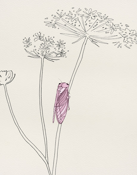 Bug Life XII (Canvas)