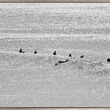 Byron Shores XI (Canvas) Large (1109mm W x 903mm H)