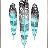 California Feather I (Canvas)