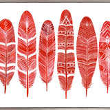 California Feather VI (Canvas)