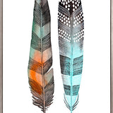 California Feather VIII (Canvas)
