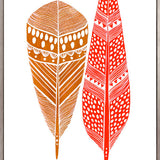 California Feather X (Canvas)