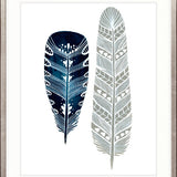 California Feather XI