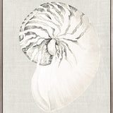 Shell on Linen II (Canvas)