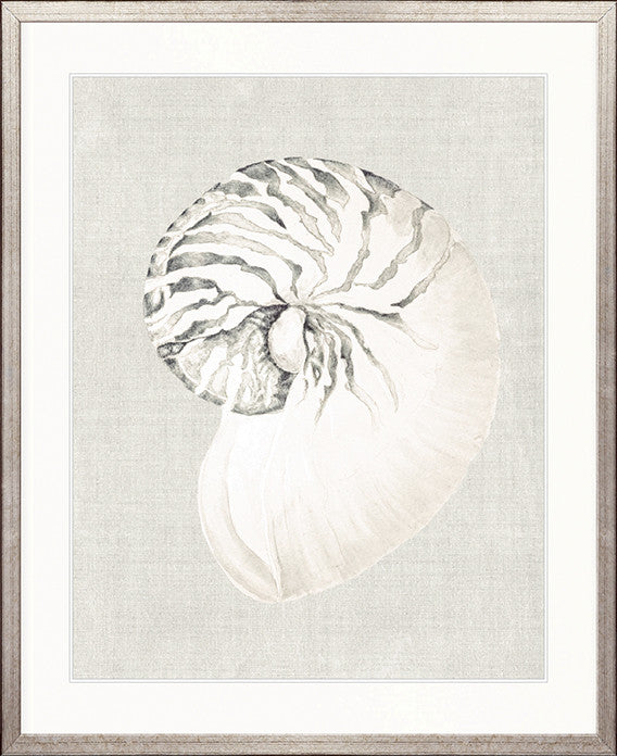 Shell on Linen II