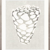 Shell on Linen III