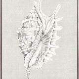 Shell on Linen IV (Canvas)