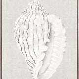 Shell on Linen VI (Canvas)