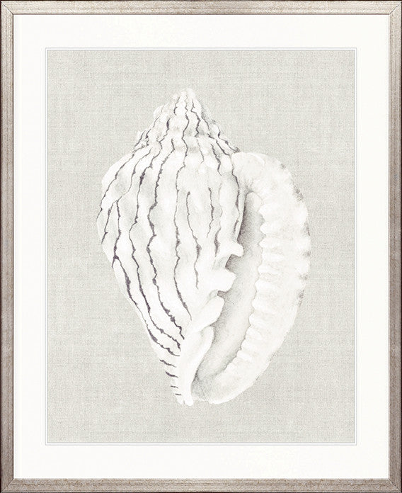 Shell on Linen VI