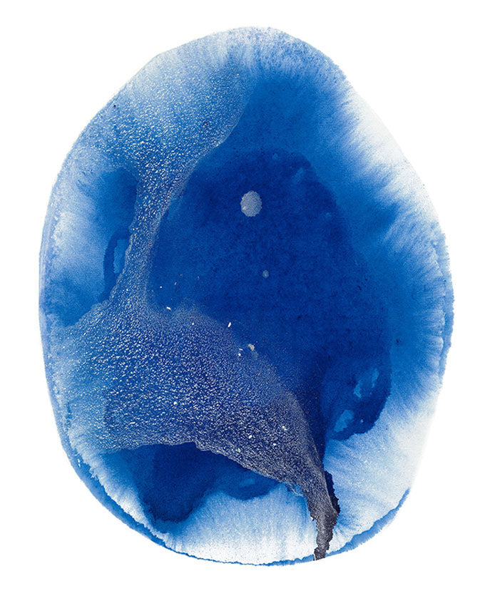 Calira Motion III (Canvas)