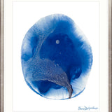 Calira Motion III X-Large (1000mm W x 1400mm H) / Clear Acrylic