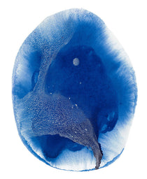 Calira Motion III