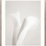 Calla I Small (465mm W x 560mm H) / Standard Clear Glass
