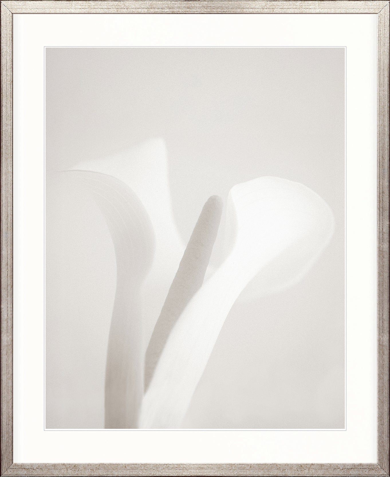 Calla I