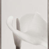 Calla II (Canvas) Large (903mm W x 1109mm H)