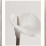 Calla II Small (465mm W x 560mm H) / Standard Clear Glass