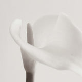 Calla II Small (465mm W x 560mm H) / Standard Clear Glass