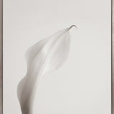 Calla III (Canvas) Large (903mm W x 1109mm H)