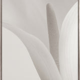 Calla IV (Canvas) Large (903mm W x 1109mm H)