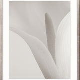 Calla IV Small (465mm W x 560mm H) / Standard Clear Glass