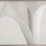 Calla V (Canvas) Large (1109mm W x 903mm H)